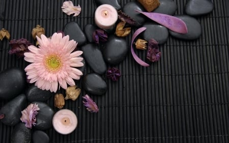 Spa - spa stones, candles, flower, petals