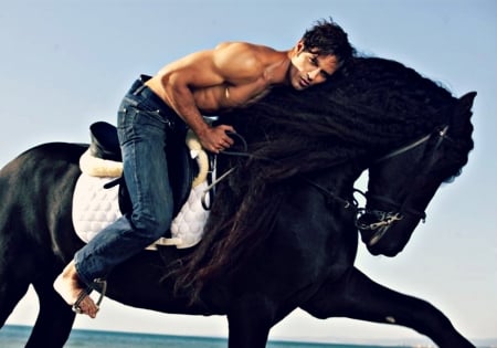 Gabriel Garko - summer, horse, animal, black, gabriel garko, model, actor, italian, man