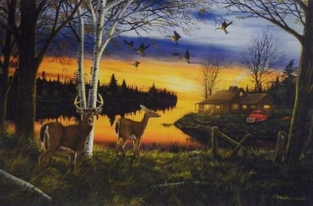 Another Time - draw and paint, geese, flying birds, cabins, deer, lakes, nature, love four seasons, sunsets, paintings, rustic