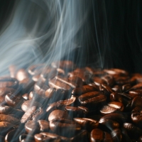 roasted coffee beans