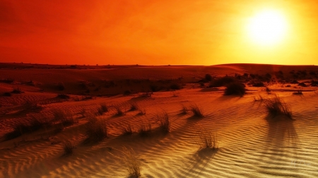 Sunrise on Sand - sand, sky, desert, firefox persona theme, sunset, sunrise, grass