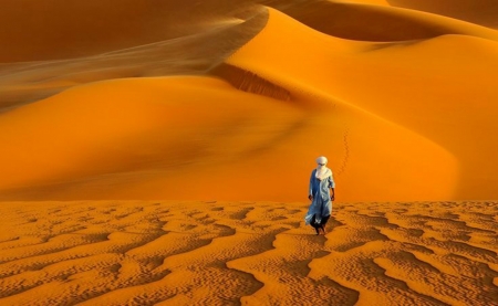 ~ World Of Sand ~ - sand, desert, dunes, golden