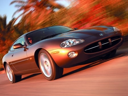 jaguar xk8 coupe - road, jaguar, coupe, tree