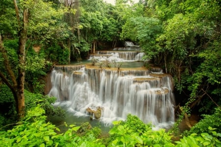 Forest waterfall - view, trees, cascades, forest, beautiful, greenery, waterfall