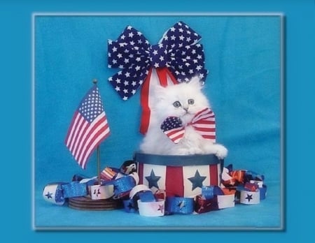 Cat on 4th of July - bows, stars, american flag, adorable, animals, kittens, lovely, 4th of july, love four seasons, cats, cute