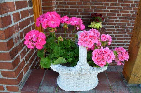 Flower Basket - blossoms, pink, petals, leaves, geranium