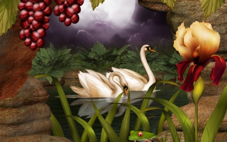 Pair of Swans - ladybug, lily, artwork, grapes, pond, flower, birds