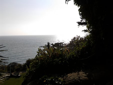 THE OCEAN - sky, trees, sea, bushes