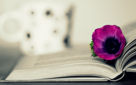 Wonderful - flower, purple, book, amazing