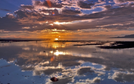 Ocean Sunset - nature, sky, ocean, reflection, clouds, sunset, birds