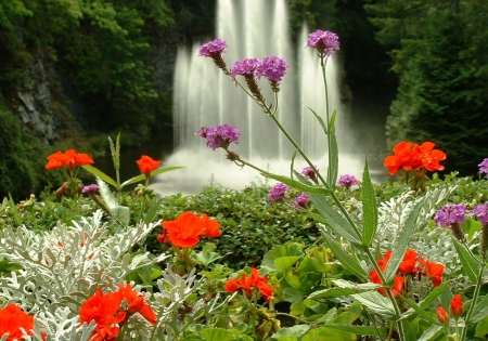 Butchard Gardens, Canada - colors, summer, fountain, blossoms