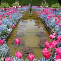 Butchard Gardens in Spring