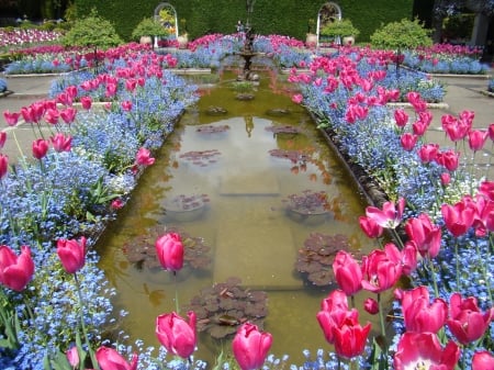 Butchard Gardens in Spring - blossoms, blue, pink, tulips, forget me not