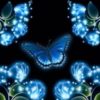 Butterfly Wallpapers - Page 7 - Desktop Nexus