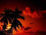 Tropical Sunset