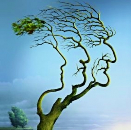 Family Tree - faces, tree, beautiful, wallpaper