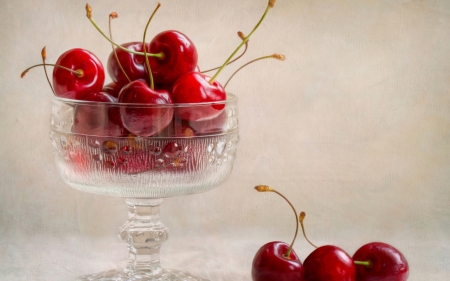 Fresh Fruits - cherries, food, fruits, cup