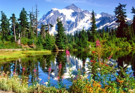 Mount Shuksan - sky, lake, landscape, mountain, peak, reflection, tranquil, beautiful, flowers, snowy