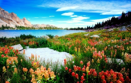 Amethyst lake-Utah - carpet, amethyst, beautiful, landscape, scenic, photo, wildflowers, colorful, lake, Utah, sky