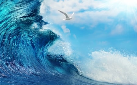 Wave and seagull - sky, ocean, water, summer, seagull, wave, bird, white, cloud, blue, sea