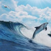 Wave and dolphins