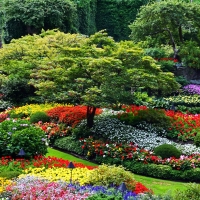 Butchart Gardens, Canada