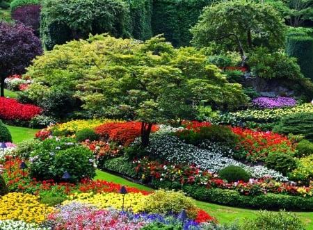 Butchart Gardens, Canada - park, colors, summer, blossoms