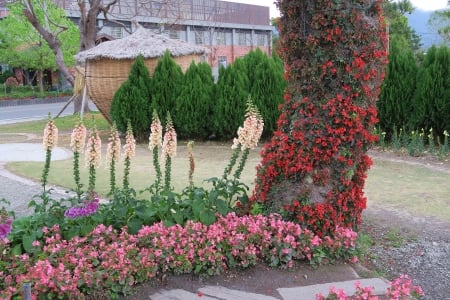 Garden - flower, lovely, plant, garden