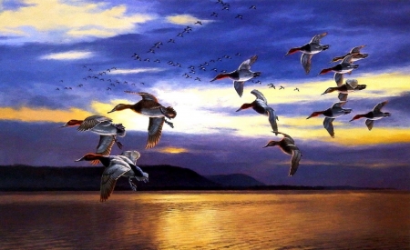 Daybreak Migrating - nature, flying, sunsets, lakes, ducks, love four seasons, draw and paint