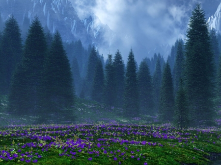 foggy day - trees, landscape, field, mountains, nature, forest, clouds, beautiful, flowers