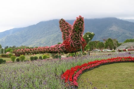 Garden - garden, flower, bird, field, rural