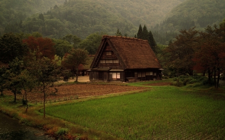 Japanese House - japonez, traditional, un sat, frumos