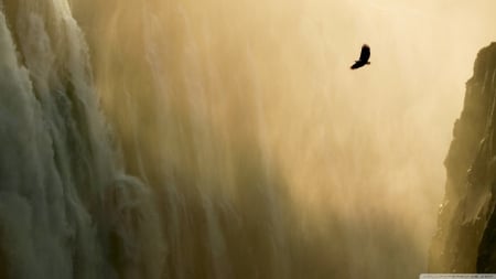 lone eagle - eagle, sky, cliff, bird