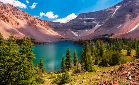 Amethyst lake - trees, amethyst, beautiful, tranquil, landscape, reflection, mountain, view, serenity, lake, peaceful, sky