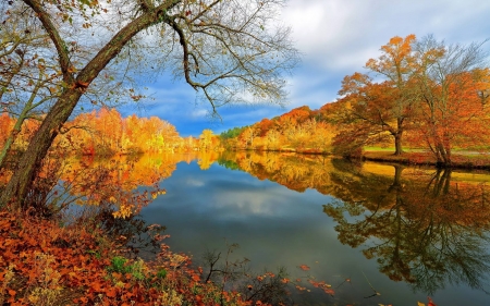 nature - lake, forest, cool, fun, nature