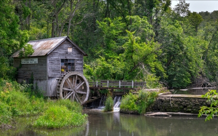 Hyde's Mill, Wisconsin - usa, trees, water, mill, architecture