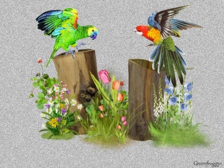 MEETING OF FRIENDS - parrots, creation, two, art