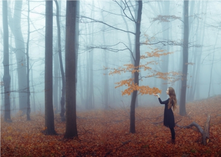 Last Fragments Of Autumn - lady, forest, model, photography