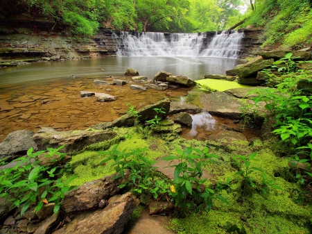 Forest waterfall - nature, trees, forest, beautiful, greenery, waterfall, rocks