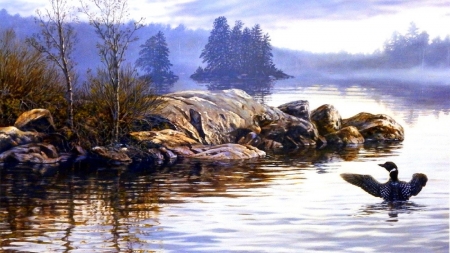 Loon Point - nature, lakes, love four seasons, draw and paint, loons, paintings, rocks