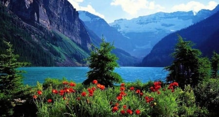 Lake Mountain - nature, lake, trees, landscape, flowers, mountains