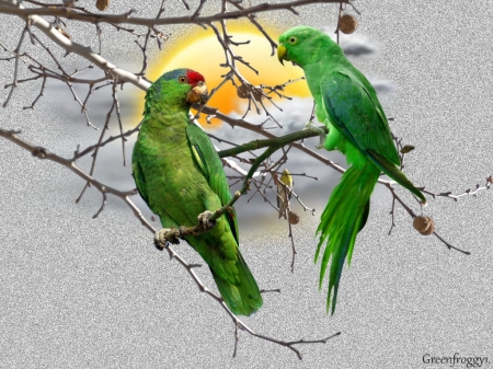 PAIR OF GREEN PARROTS