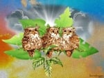 THREE WISE OWLS