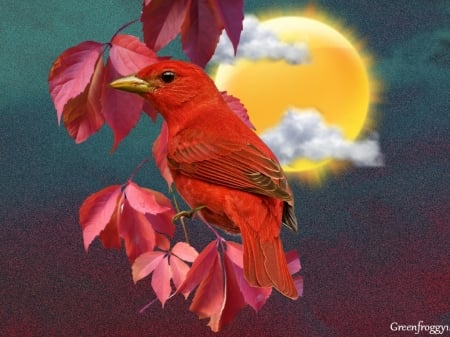 SUMMER TANAGER - red, creation, bird, abstract