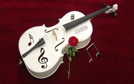 White Violin - music, instrument, artwork, rose, flower