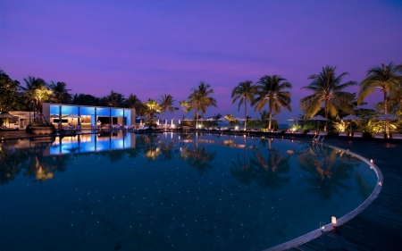 The Night Villa - attractions in dreams, resorts, palm trees, houses, villa, love four seasons, beautiful houses, architecture, pool