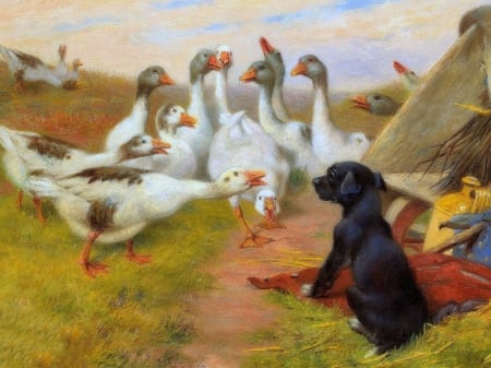 A Small Guard - geese, dogs, paintings, love four seasons, draw and paint, animals