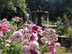 Flowers in the fountain