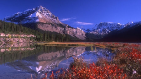 Mountain Vista, Jasper National Park - lake, firs, reflection, landscape, canada, autumn