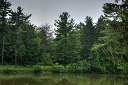 Green summer - scenic summer, green summer, scenic forest, nature, green